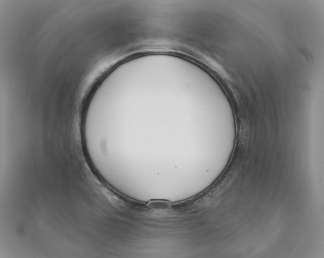 X0000110981464200907171722