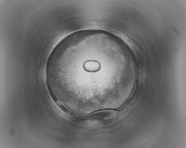 X0000110981468200907171721