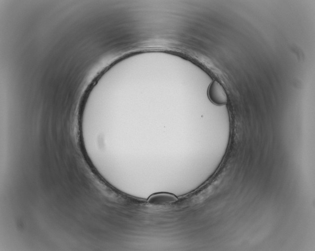 X0000110981469200907171721