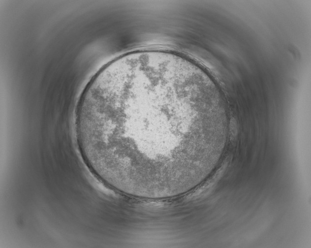 X0000110981470200907171721