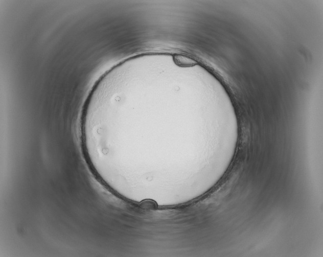 X0000110981471200907171721