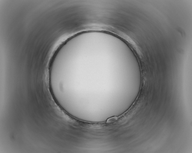 X0000110981472200907171721