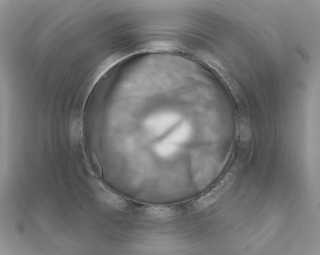 X0000110981473200907171721