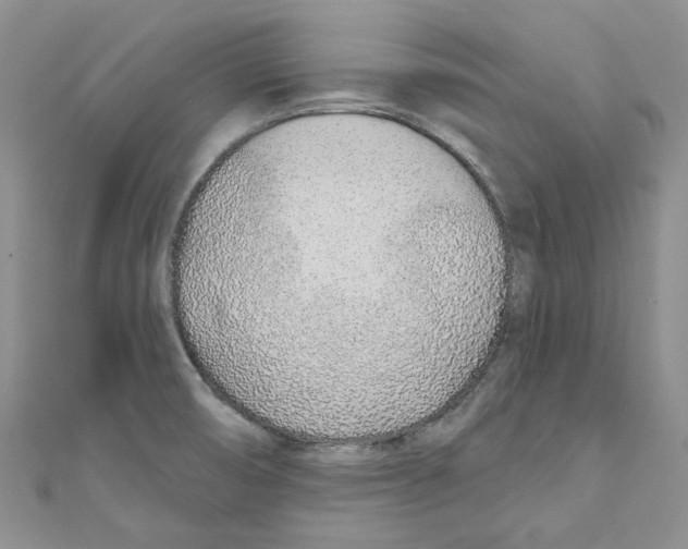 X0000110981474200907171721