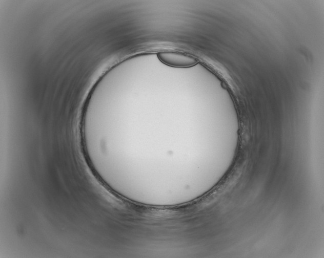 X0000110981475200907171721