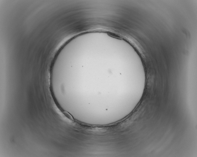 X0000110981476200907171721