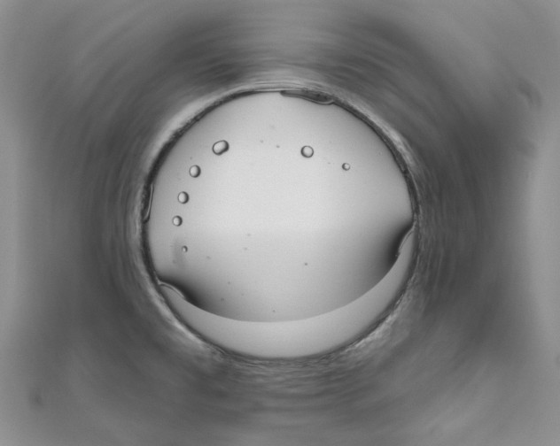 X0000110981477200907171721