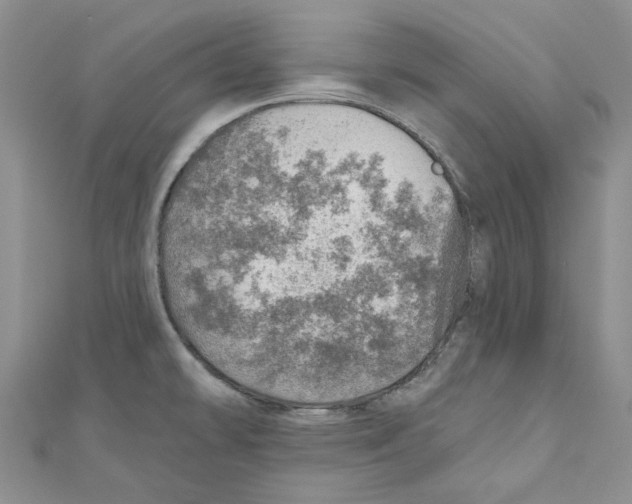 X0000110981478200907171721