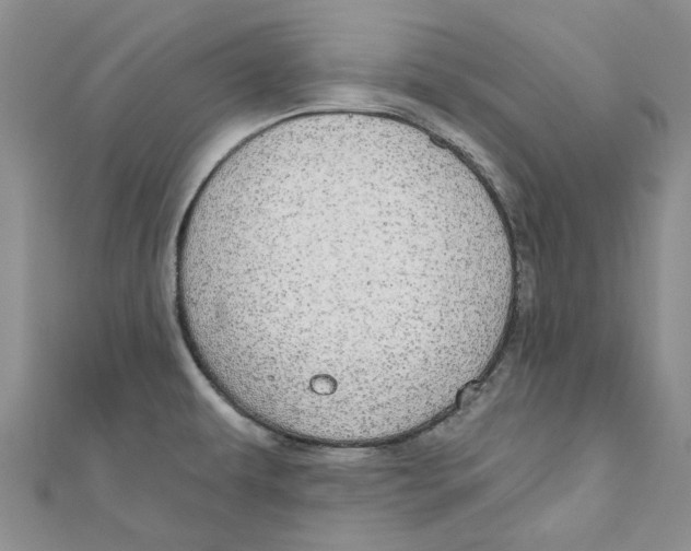 X0000110981479200907171721