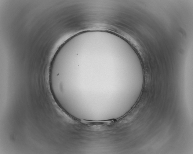 X0000110981480200907171721