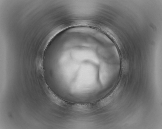 X0000110981481200907171721