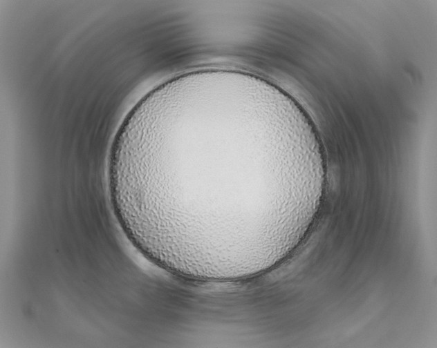 X0000110981482200907171721