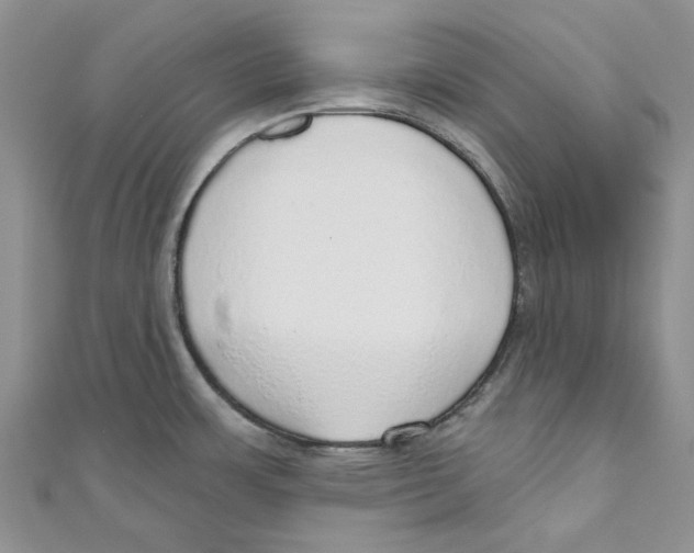 X0000110981483200907171721