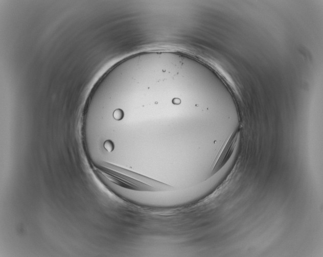 X0000110981484200907171721