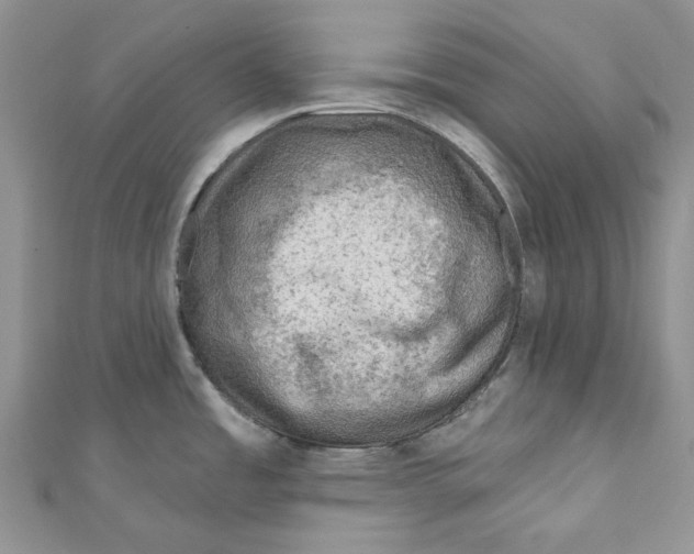 X0000110981485200907171721