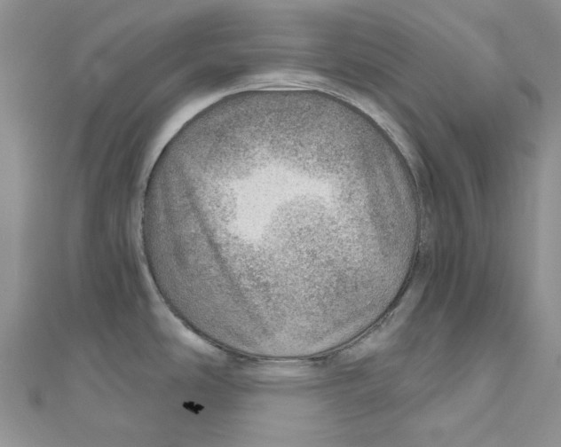 X0000110981486200907171721