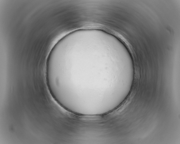 X0000110981487200907171721