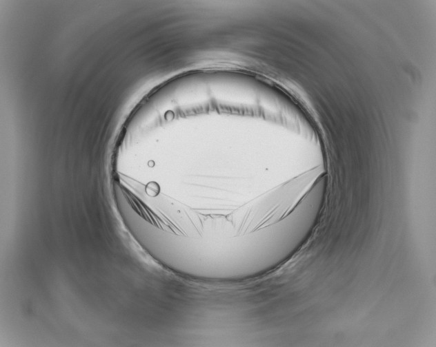 X0000110981488200907171721