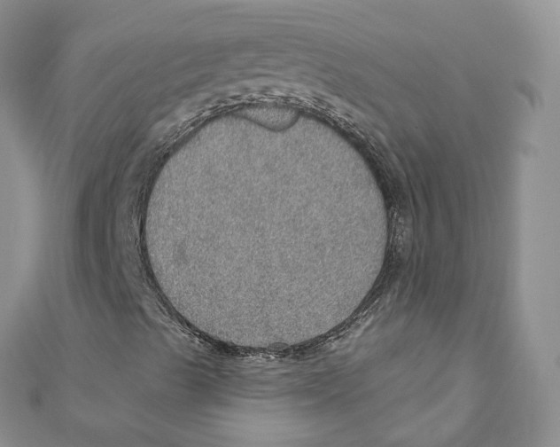 X0000110981489200907171721