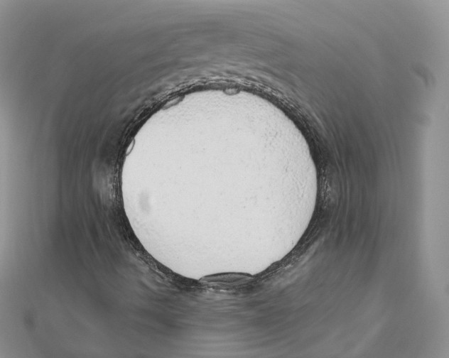 X0000110981490200907171721