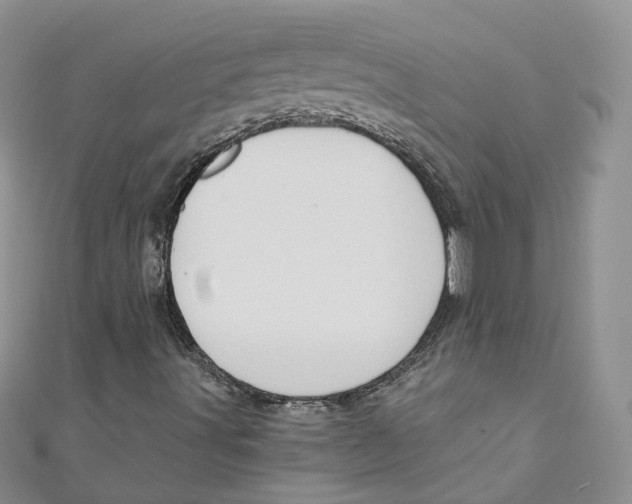 X0000110981491200907171721