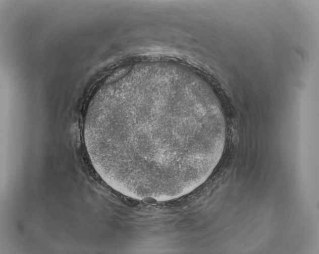 X0000110981493200907171721