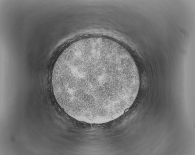 X0000110981494200907171721