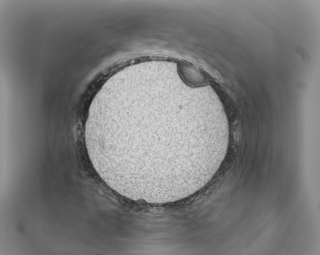 X0000110981495200907171721