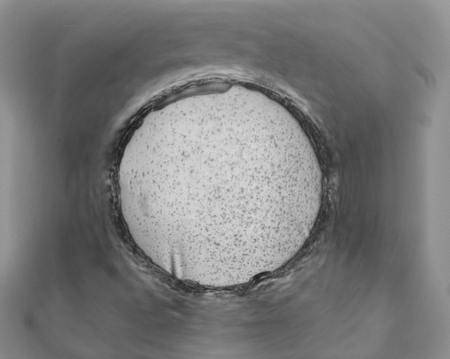 X0000110981496200907171721