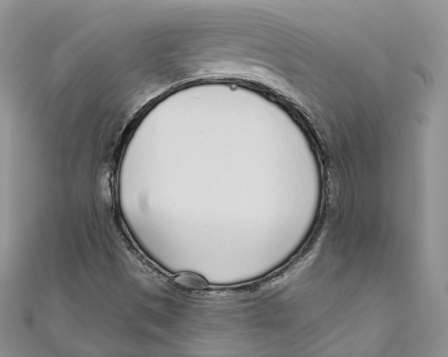 X0000110981497200907171721