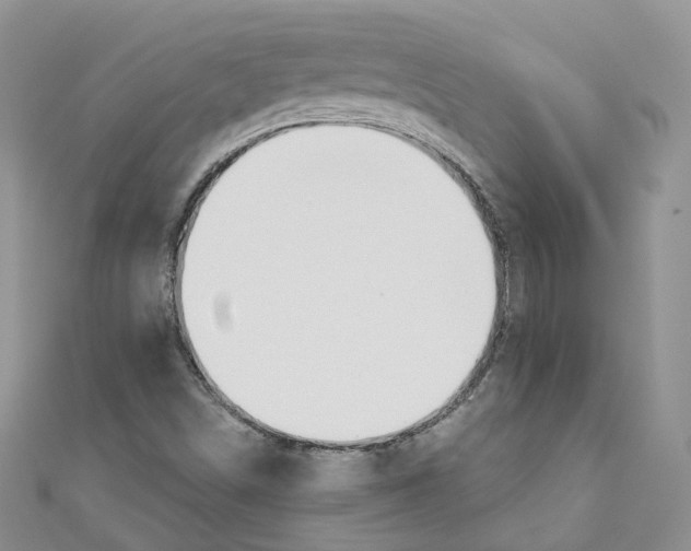 X0000110981498200907171721