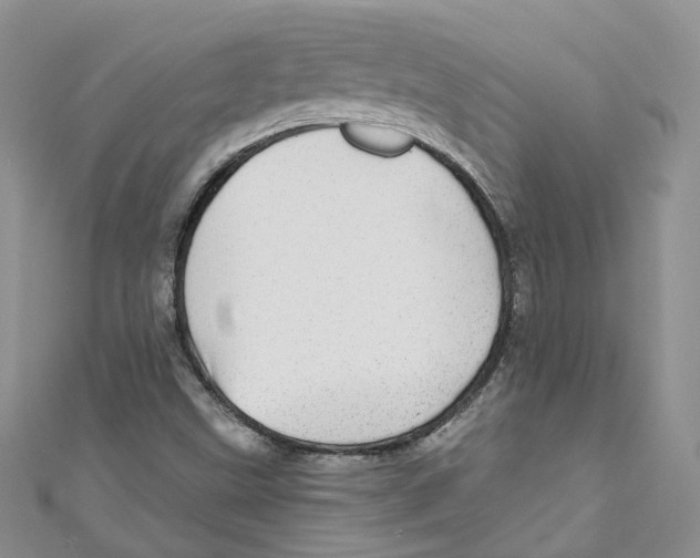 X0000110981499200907171721