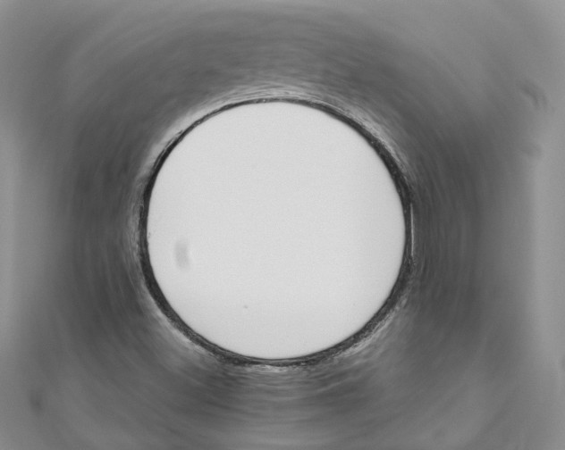 X0000110981500200907171721