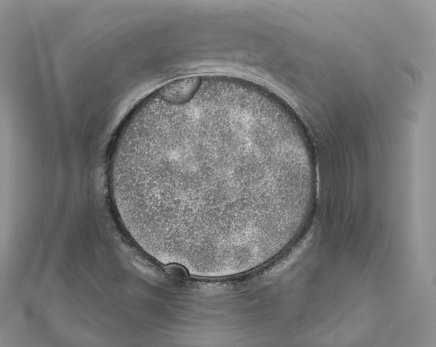 X0000110981501200907171721