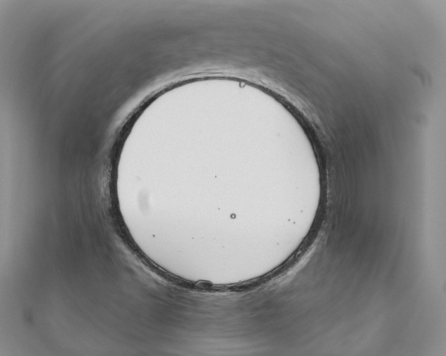 X0000110981502200907171721