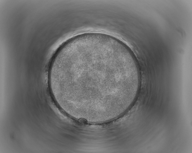 X0000110981503200907171721