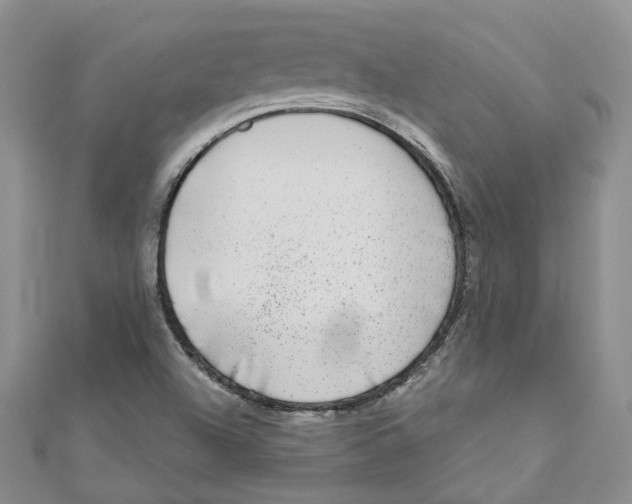 X0000110981504200907171721