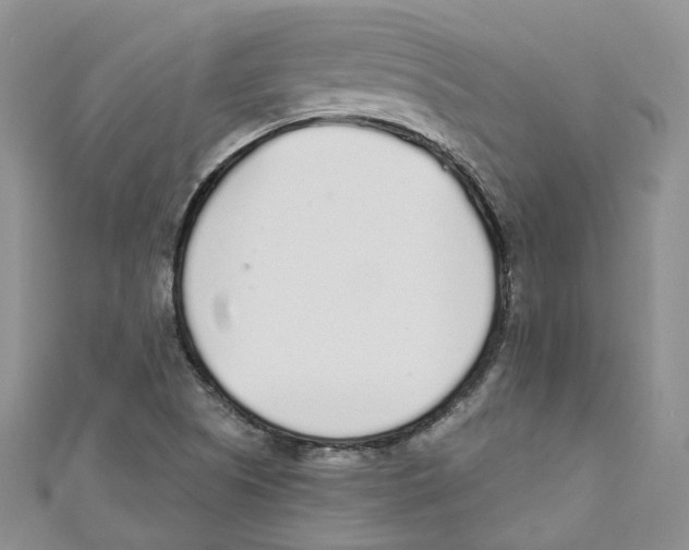 X0000110981505200907171721