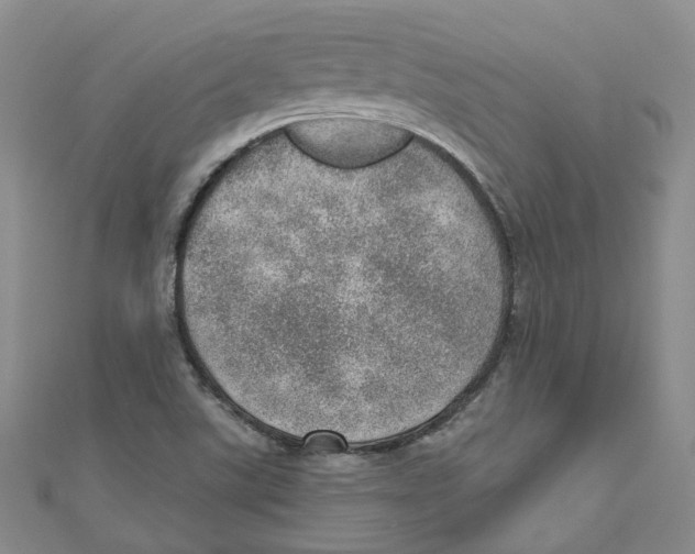 X0000110981507200907171721