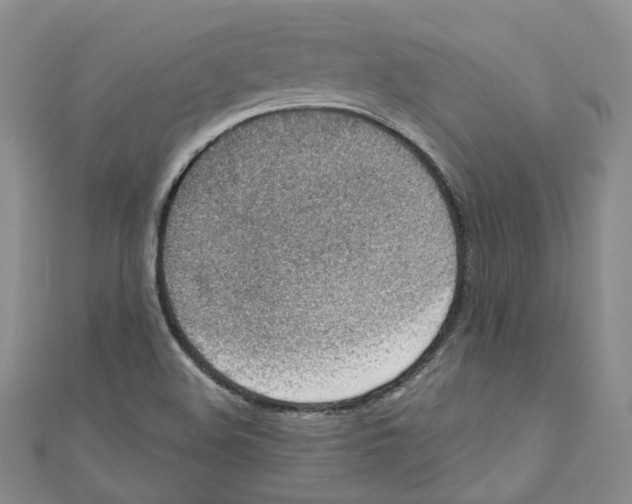 X0000110981508200907171721