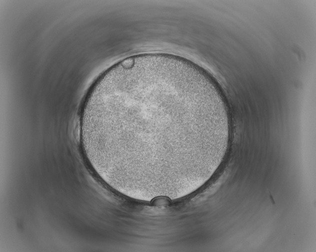 X0000110981509200907171721