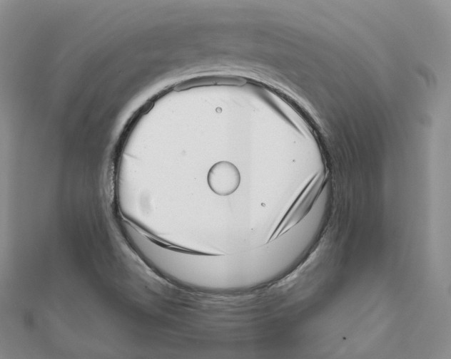 X0000110981510200907171721