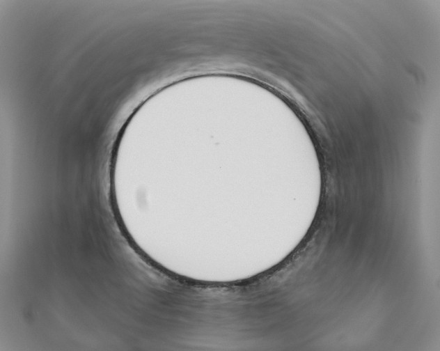 X0000110981512200907171721