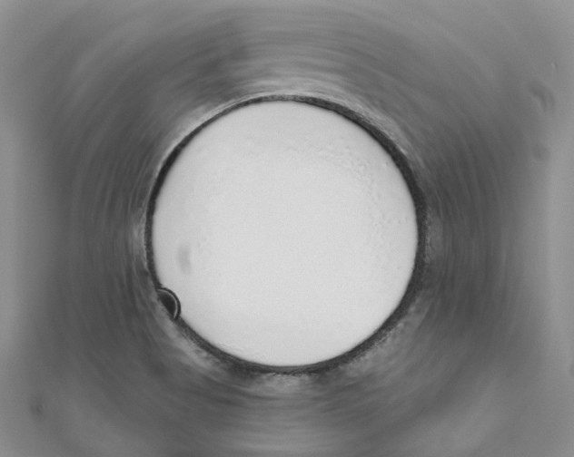 X0000110981513200907171721