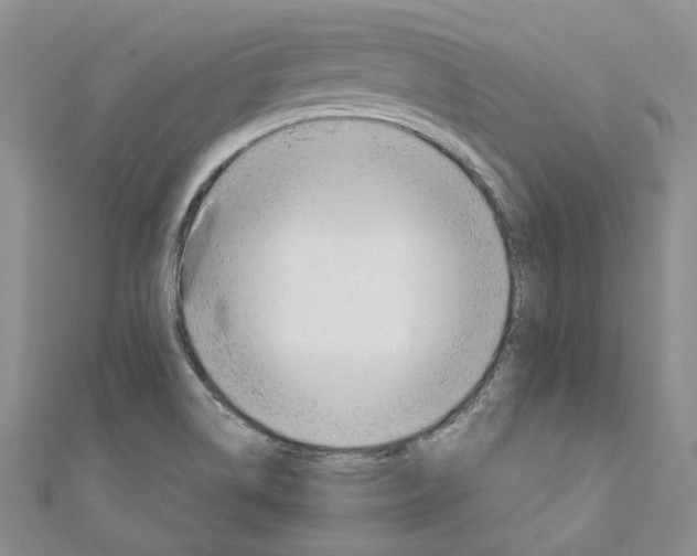 X0000110981514200907171721