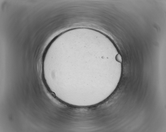 X0000110981515200907171721