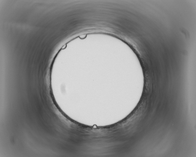 X0000110981516200907171721