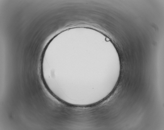 X0000110981518200907171721