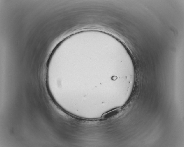 X0000110981519200907171721