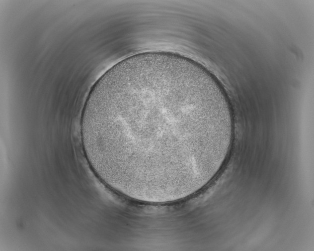 X0000110981521200907171721